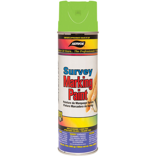 Peinture de marquage polyvalente, 17 oz, Canette a&eacute;rosol Sécurité Médic