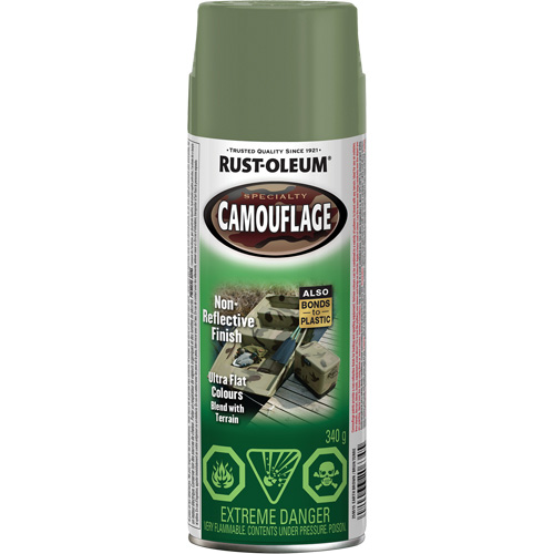 Specialty Camouflage Paint, Aerosol Can, Earth Brown Sécurité Médic