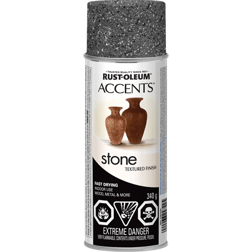 Accents&reg; Stone Creations Spray Paint, Aerosol Can, Grey Stone Sécurité Médic