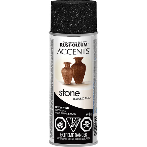 Accents&reg; Stone Creations Spray Paint, Aerosol Can, Black Granite Sécurité Médic