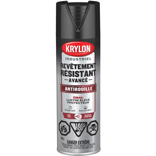 Tough Coat&reg; Advanced Paint with Rust Barrier Technology, Black, High-Gloss, 425 g, Aerosol Can Sécurité Médic