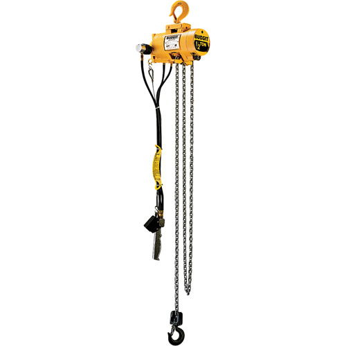 Budgit&reg; Air Chain Hoists Sécurité Médic