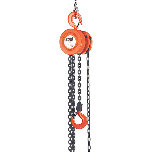 Chain Hoist, 8' Lift, 6000 lbs. (3 tons) Capacity, Steel Chain Sécurité Médic