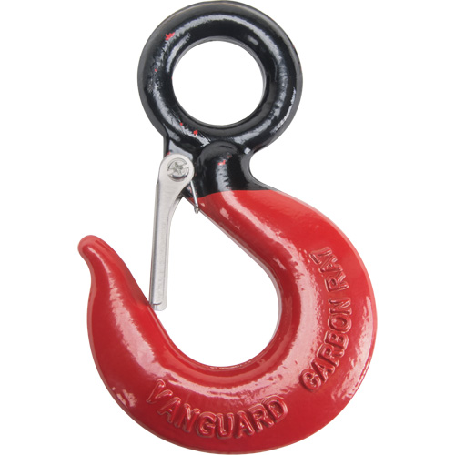 Black Eye&reg; Wire Rope Hoist Hook Sécurité Médic