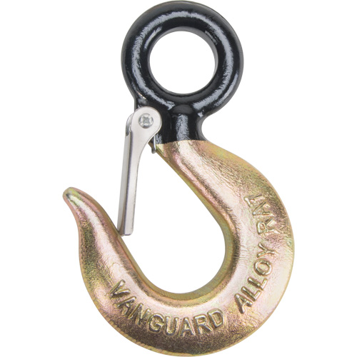 Black Eye&reg; Wire Rope Hoist Hook Sécurité Médic