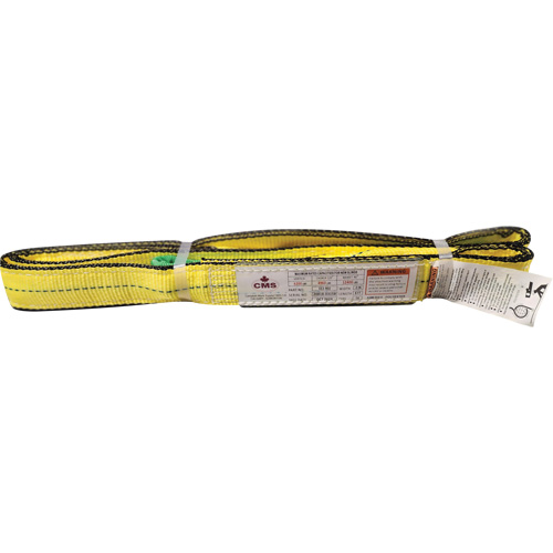 &eacute;lingue en sangle de polyester, Pli Double, Oeillets renvers&eacute;s, Type 4, 2" la x 8' lo, Capacit&eacute; verticale 6400 lb Sécurité Médic
