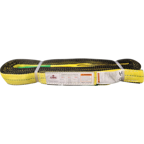 &eacute;lingue en sangle de polyester, Pli Double, Oeillets renvers&eacute;s, Type 4, 2" la x 20' lo, Capacit&eacute; verticale 6400 lb Sécurité Médic