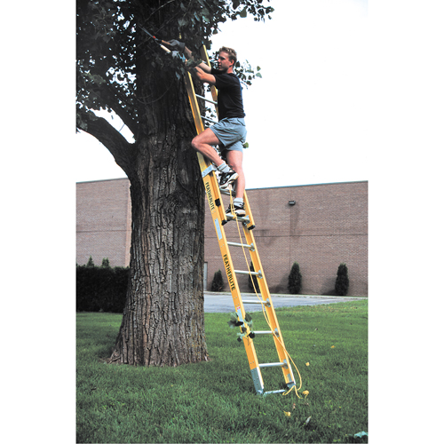 Industrial Heavy-Duty Extension Ladders (6200 Series), 375 lbs. Cap., 13' H, Grade 1AA Sécurité Médic