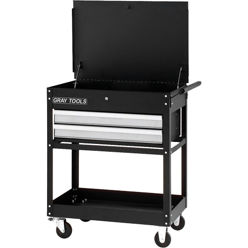 Utility Cart, 2 Drawers, 30-1/4" L x 19" W x 35-3/4" H, Black Sécurité Médic