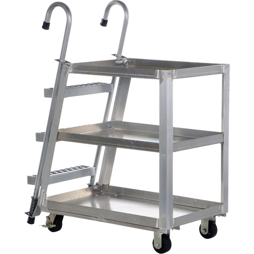 Stockpicker Truck, Aluminum, 21-7/8" W x 40" D, 3 Shelves, 660 lbs. Capacity Sécurité Médic