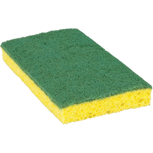 &eacute;ponge &agrave; r&eacute;curer pour travaux moyens Scotch-Brite, &agrave; r&eacute;curer, 3-3/5" la x 6-1/10" l Sécurité Médic