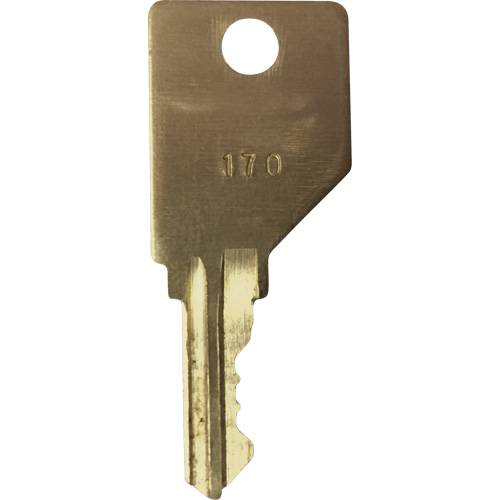 Replacement Key for Frost Smoking Receptacles Sécurité Médic