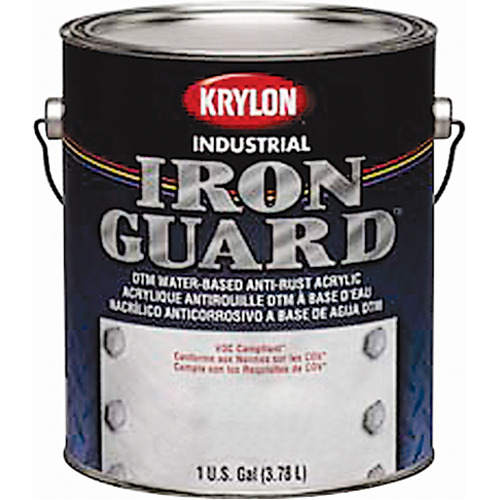 Industrial Iron Guard&reg; Water-Based Enamel, Can, Grey Sécurité Médic