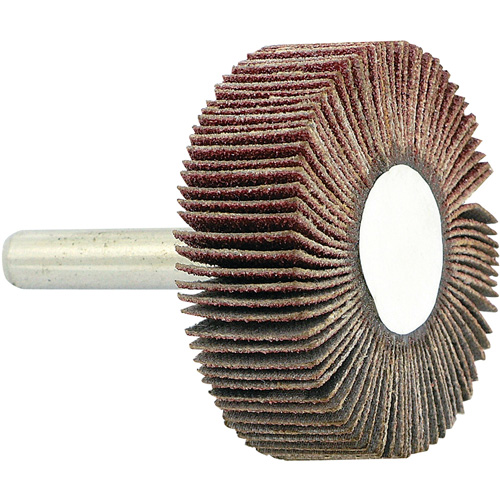 Shaft Mounted Flapwheel, 80 Grit, 1-1/2" x 1/2" x 1/4" Sécurité Médic
