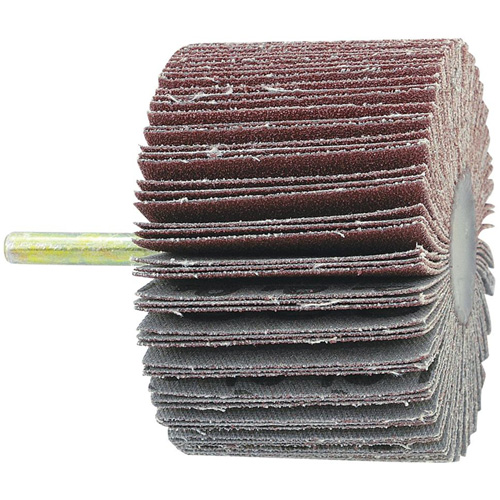 Disque &agrave; lamelles mont&eacute; sur mandrin, Grain 60, 1-1/2" x 1/4" Sécurité Médic