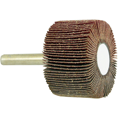 Disque &agrave; lamelles mont&eacute; sur mandrin, Grain 80, 1-1/2" x 1" x 1/4" Sécurité Médic