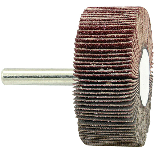 Disque &agrave; lamelles mont&eacute; sur mandrin, Grain 80, 2" x 3/4" x 1/4" Sécurité Médic