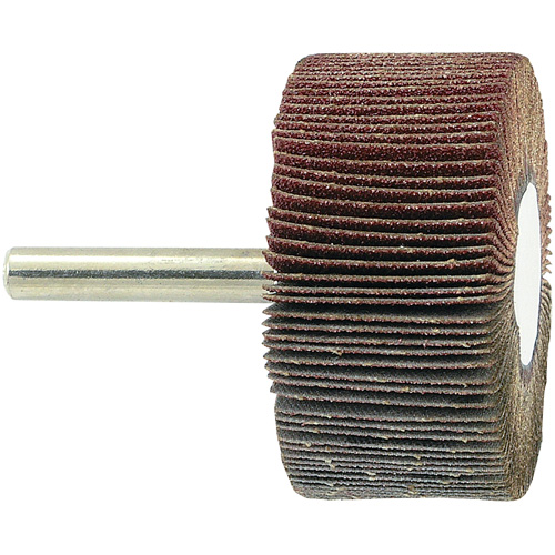 Disque &agrave; lamelles mont&eacute; sur mandrin, Grain 80, 2" x 1" x 1/4" Sécurité Médic