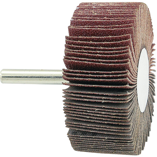 Disque &agrave; lamelles mont&eacute;, Grain 80, 2-1/2" x 1" x 1/4" Sécurité Médic