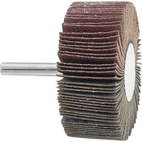 Disque &agrave; lamelles mont&eacute;, Grain 120, 2-1/2" x 1" x 1/4" Sécurité Médic