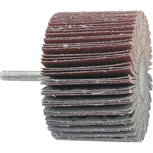 Disque &agrave; lamelles mont&eacute;, Grain 60, 3" x 1" x 1/4" Sécurité Médic