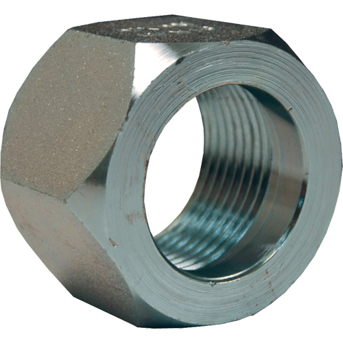 &eacute;crou hexagonal de minage Dixon, 1", Zingu&eacute;, Filetage NPT Sécurité Médic