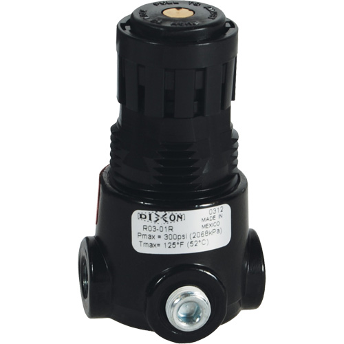 R&eacute;gulateur miniature R03 Wilkerson, 1/8" NPT, PSI max. de 300 psi, Standard Sécurité Médic