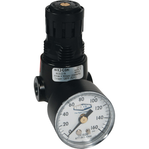 R&eacute;gulateur miniature R04 Wilkerson, 1/4" NPT, PSI max. de 300 psi, Standard Sécurité Médic