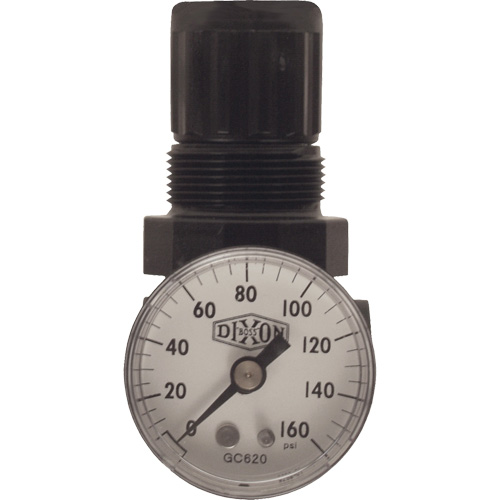 R&eacute;gulateur miniature de s&eacute;rie 1, 1/8" NPT, PSI max. de 100 psi, Standard Sécurité Médic