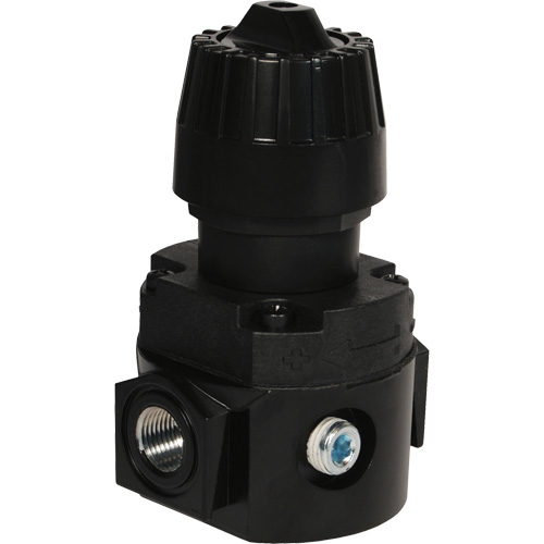 R&eacute;gulateur compact R16 Wilkerson, 1/4" NPT, PSI max. de 300 psi, Standard Sécurité Médic