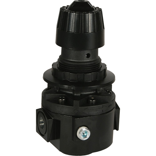 R&eacute;gulateur Wilkerson R26, 3/8" NPT, PSI max. de 300 psi, Standard Sécurité Médic