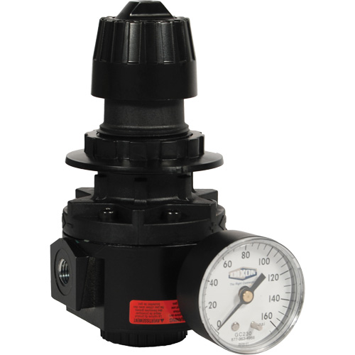 R&eacute;gulateur Wilkerson R26, 1/2" NPT, PSI max. de 300 psi, Standard Sécurité Médic