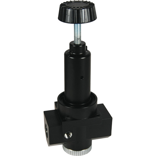 Wilkerson High Flow Regulator R30, 1" NPT, 300 psi Max. PSI, Standard Sécurité Médic