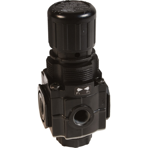 Collecteur de r&eacute;gulateur de s&eacute;rie 1, 1/4" NPT, PSI max. de 150 psi, Standard Sécurité Médic