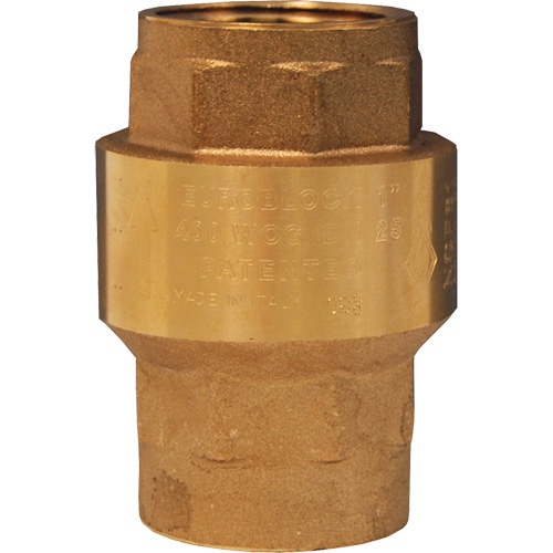 Horizontal Swing Check Valve Sécurité Médic