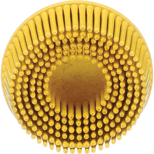 Scotch-Brite Roloc Bristle Disc, Ceramic, Medium Grit, 2" Dia. Sécurité Médic