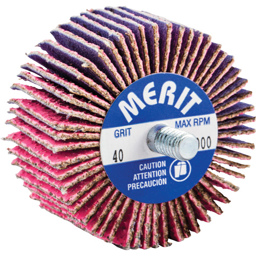 Threaded Mini Flap Wheel, Ceramic Alumina, 40 Grit, 2" x 1" x 1/4"-20 Sécurité Médic
