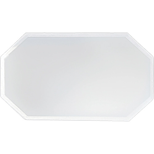 Replacement Plastic Shield for Suction & Pressure Cabinets Sécurité Médic