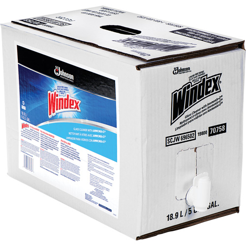Windex&reg; Glass Cleaner with Ammonia-D&reg;, 5 gal., Bag Sécurité Médic