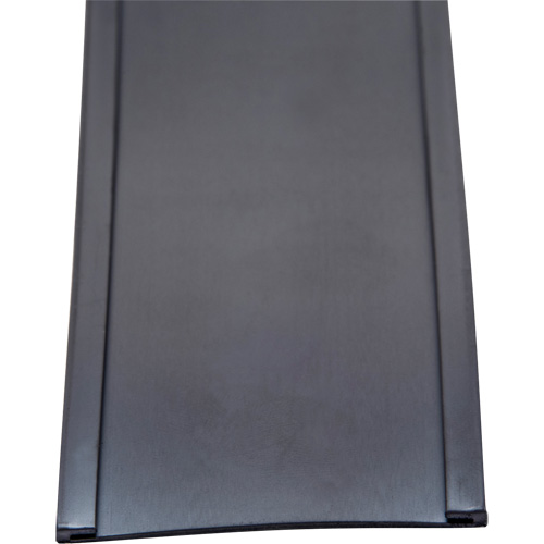 Porte-&eacute;tiquette, Magn&eacute;tique, 600" lo x 2" la Sécurité Médic