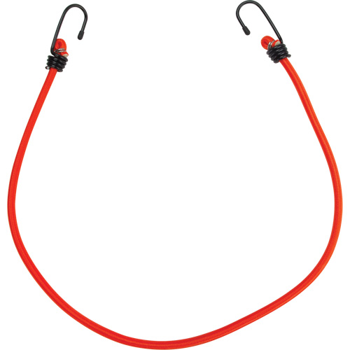 Bungee Cord Tie Downs, 30" Sécurité Médic