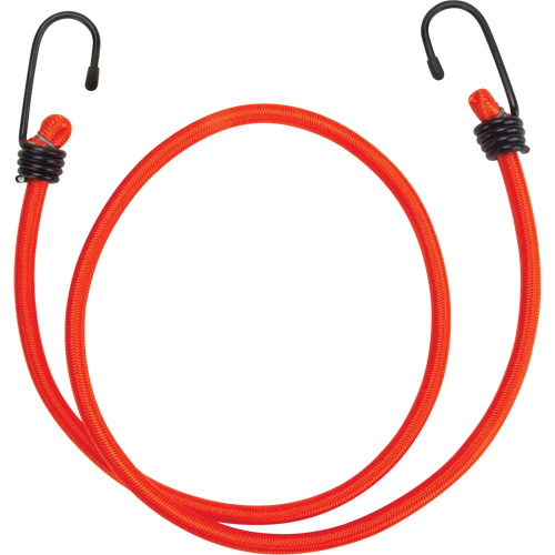 Bungee Cord Tie Downs, 36" Sécurité Médic
