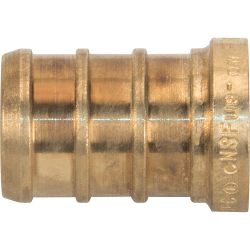 Capuchon de tuyau sans plomb, Tuyau, 1/2" dia., Laiton Sécurité Médic