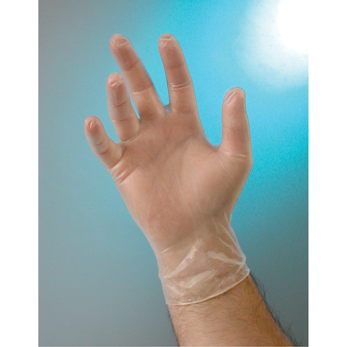 Examination Grade Gloves, Small, Vinyl, 4-mil, Powder-Free, Clear, Class 2 Sécurité Médic