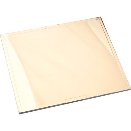 Omni-View&reg; Gold Filter Plates Sécurité Médic