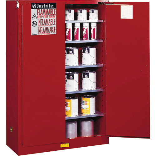 Armoire de s&eacute;curit&eacute; pour la peinture et les encres combustibles EX Sure-Grip, 60 gal., 5 tablettes Sécurité Médic