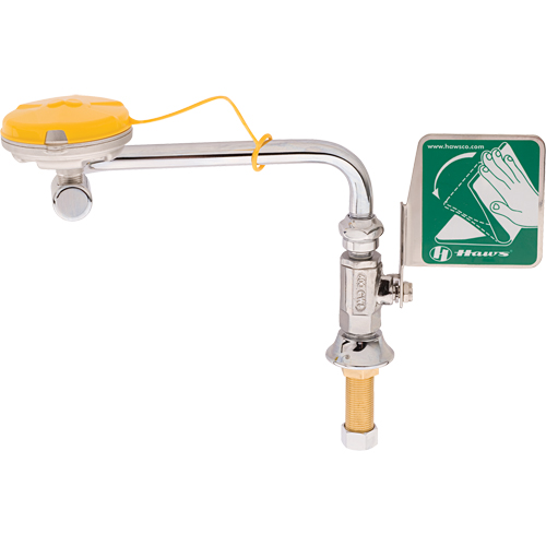 Axion&reg; Eye/Face Wash Station, Sink Mount Installation Sécurité Médic