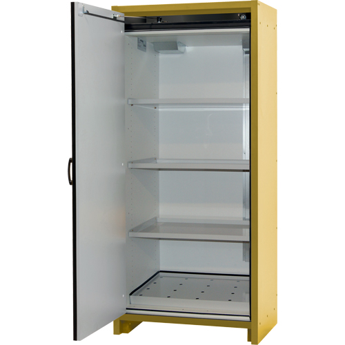 Armoire d'entreposage 30 minutes s&eacute;curitaire et conforme &agrave; la norme EN, 30 gal., 1 Porte(s), 34,02" La x 76,65" h x 24,21" p Sécurité Médic
