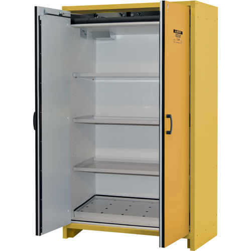 Armoire d'entreposage 30 minutes s&eacute;curitaire et conforme &agrave; la norme EN, 45 gal., 2 Porte(s), 45,83" La x 76,65" h x 24,21" p Sécurité Médic