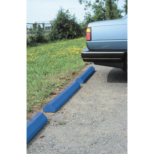 Car Stops, Plastic, 6' L, Blue Sécurité Médic